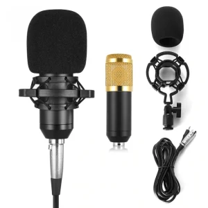 BM800 Condenser Microphone