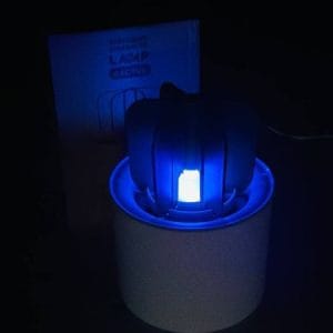 Mosquito Killer Lamp (MWD-02)- Cactus Design